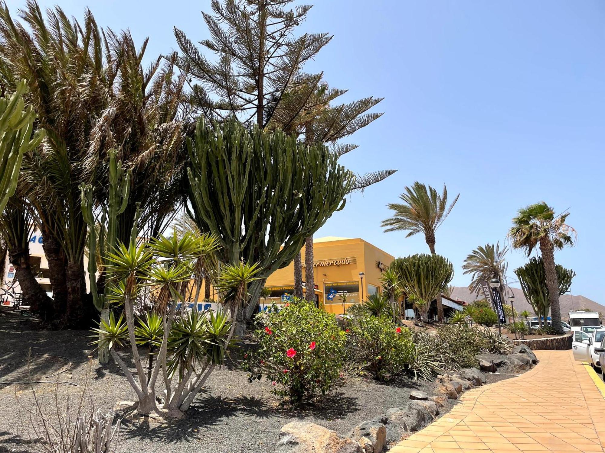 Casa Relax Papagayo Corralejo Irent Fuerteventura Apartment Exterior photo